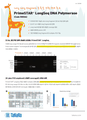 LongSeq PCR 효소_R055A